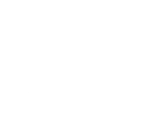 Icono Profesional de la salud