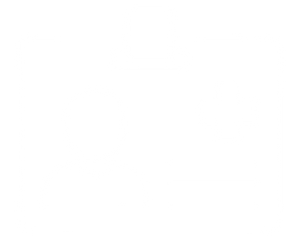 Icono tarjeta profesional